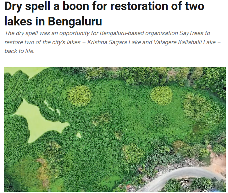 Dry Spell Aids Restoration of Two Lakes in Bengaluru
